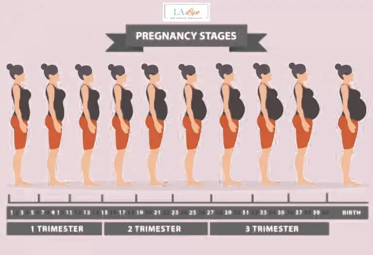 First Trimester (Weeks 1–12): Early Changes You Might Not Notice Richmond